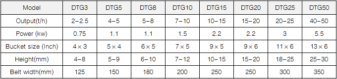 DTG Bucket Elevator