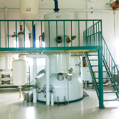 Rice bran oil deodorization process