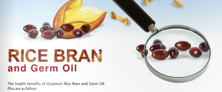 rice bran and germ oil